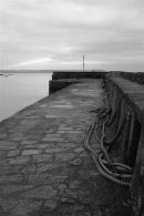 The Harbour